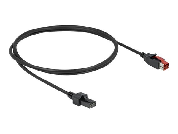 Delock - Strømforsynt USB-kabel - USB PlusPower (24 V) (hann) til 4-pins mini-DIN (hann) - 24 V - 1 m - svart