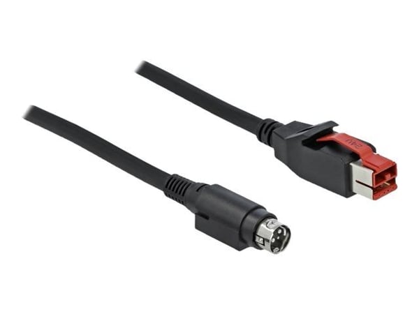 Delock - Strømforsynt USB-kabel - USB PlusPower (24 V) (hann) til Power mini-DIN (hann) - 24 V - 1 m - svart