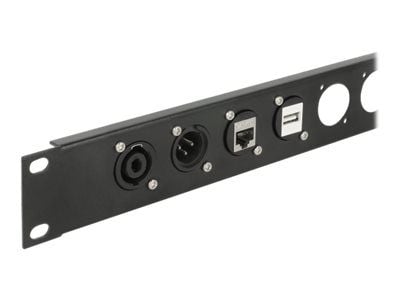 Delock D-Type Module USB 2.0 Type-A female to female - Påknipsbar mulighetsmodulfrontplate - panelmonterbar - USB 2.0 Type A - svart