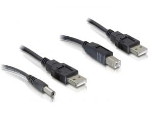 Delock - Strømkabelpakke - USB (han) til USB Type B, DC-stik 2,1 mm (han) - 30 cm