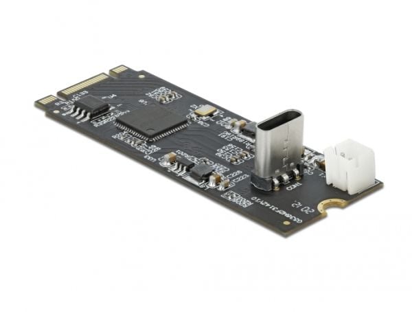 DeLOCK Converter M.2 Key B+M hanne til USB Type-C - grensesnittadapter - PCIe - 10 Gbit/s - USB 3.1 (Gen 2) (63174)