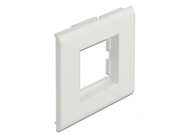 Delock - Easy 45 - ram - 2 modules - vit, RAL 9003