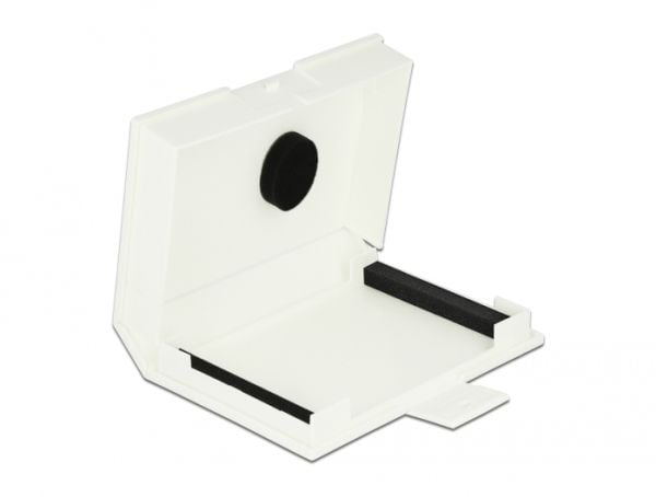 Delock - Beskyttelsesboks for harddisk - kapasitet: 1 harddiskstasjon (3,5") - hvit