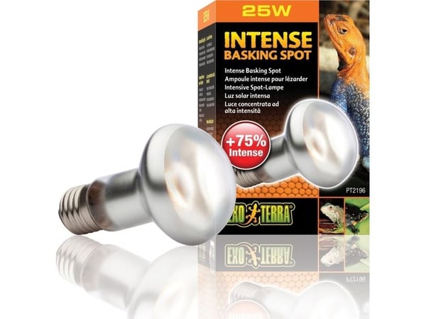 Exo Terra Reference Intense Basking Spot 25W