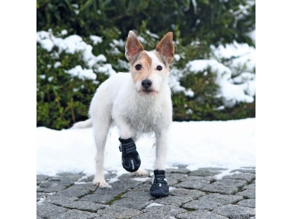 Trixie SAFETY SHOES Walker Active XS 2 pcs.