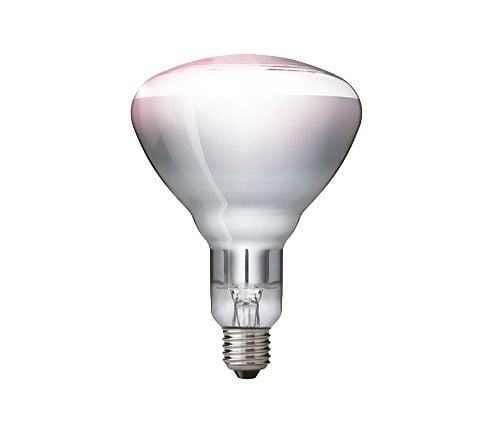 Philips 60800122044, 250 W