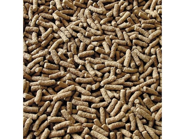 sera 07190, Damfisk, Tørr fiskemat, Pellet, Vitamin A, Vitamin B1, Vitamin B2, Vitamin C, Vitamin D3, Vitamin E, Stor, Medium, 32,1%