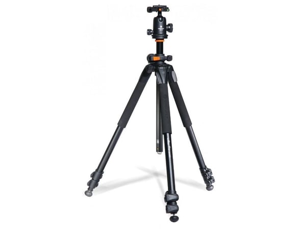 Vanguard Alta Pro 2+ 263AB100 - Stativ - med Vanguard Alta BH 100