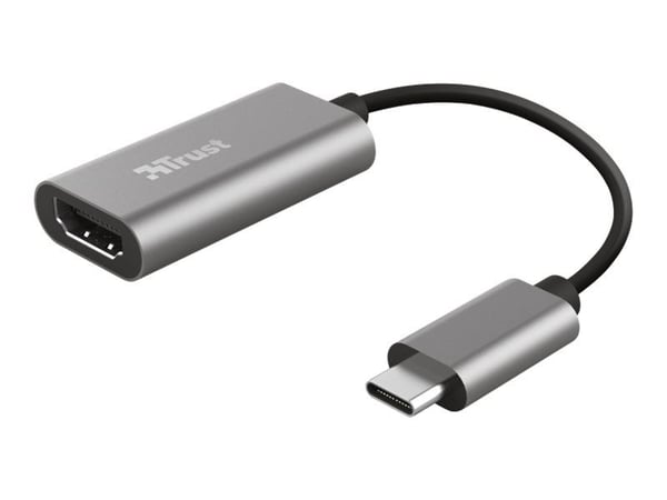 Trust Dalyx - Video adapter - HDMI hunn til 24 pin USB-C hann - 20 cm - 4K-støtte, 1080p-støtte