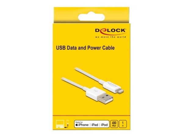 DeLOCK 83000, 1 m, USB A, Uros, Uros, Valkoinen, Suora