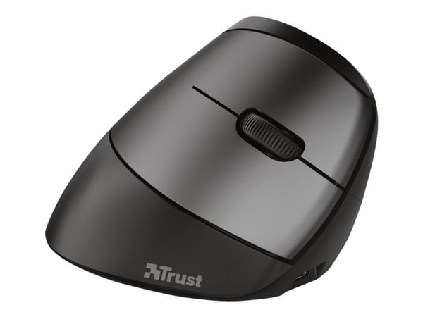 Trust Bayo - Pystyhiiri - ergonominen - oikeakätinen - optinen - 6 painiketta - langaton - 2,4 GHz - langaton vastaanotin (USB)