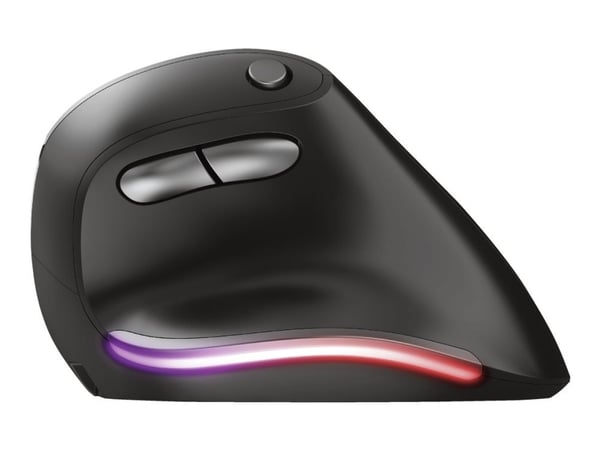 Trust Bayo - Pystyhiiri - ergonominen - oikeakätinen - optinen - 6 painiketta - langaton - 2,4 GHz - langaton vastaanotin (USB)