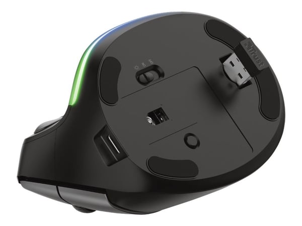 Trust Bayo - Pystyhiiri - ergonominen - oikeakätinen - optinen - 6 painiketta - langaton - 2,4 GHz - langaton vastaanotin (USB)