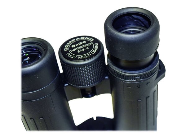 BRAUN Compagno - Kikkerter 10 x 34 WP - tåkebestandig, vanntett - tak