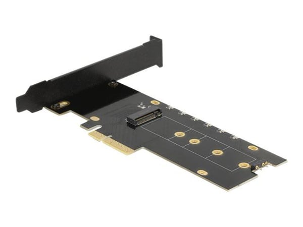 Delock - Lagringskontroll - M.2 - M.2 NVMe-kort / PCIe 4.0 (NVMe) - lav profil - PCIe 4.0 x4