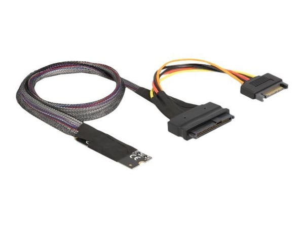 Delock - Grensesnittsadapter - 2.5", M.2 - NVMe PCIe - U.2