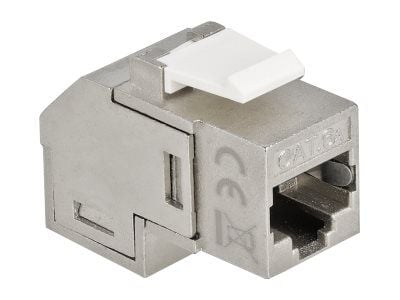 Delock - Modulinnlegg (kopling) - CAT 6a - STP - RJ-45 - hvit, sølv