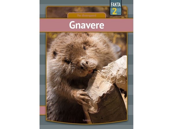 Gnagerne | Per Østergaard | Språk: Dansk