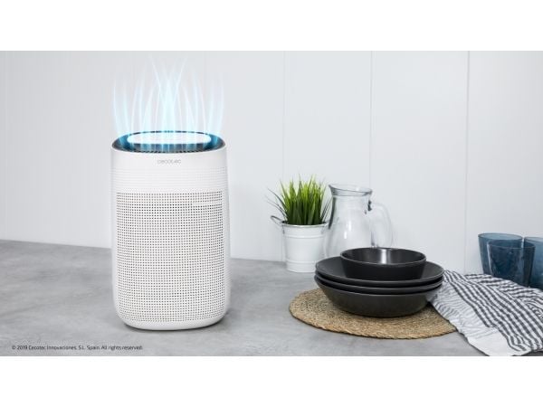 Cecotec Big Dry 2500 Pure Light, 45 W, 100 - 240 V, 50 - 60 Hz, 12,5 mm, 36 mm, 21 mm