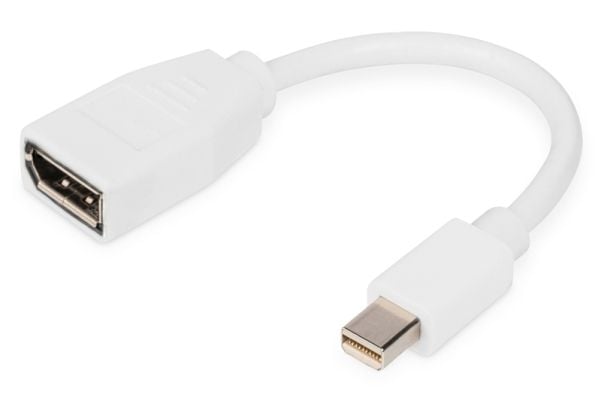 DIGITUS - DisplayPort-adapter - Mini DisplayPort (hann) til DisplayPort (hunn) - DisplayPort 1.2 - 15 cm - formstøpt, 4K 60Hz støtte - hvit