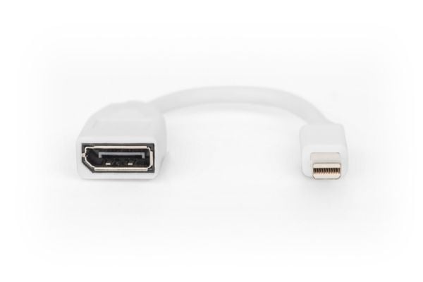 DIGITUS - DisplayPort-adapter - Mini DisplayPort (hann) til DisplayPort (hunn) - DisplayPort 1.2 - 15 cm - formstøpt, 4K 60Hz støtte - hvit