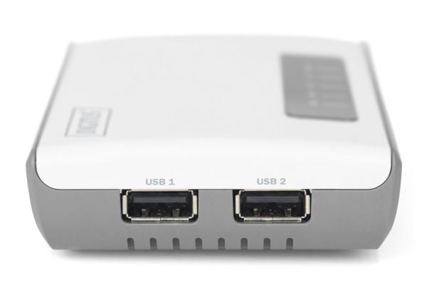 DIGITUS - Trådløs enhetsserver - 2 porter - 100Mb LAN, USB 2.0 - Wi-Fi - 2.4 GHz