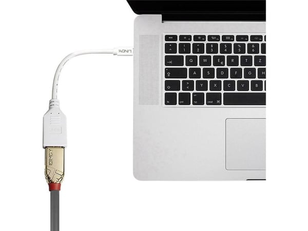 Lindy 41021, 0,15 m, Mini DisplayPort, DisplayPort, Hankjønn, Hunkjønn, Hvit