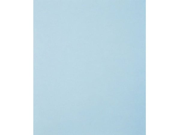 PFERD 45015120, 28 cm, 230 mm, 1,2 kg, 50 kpl