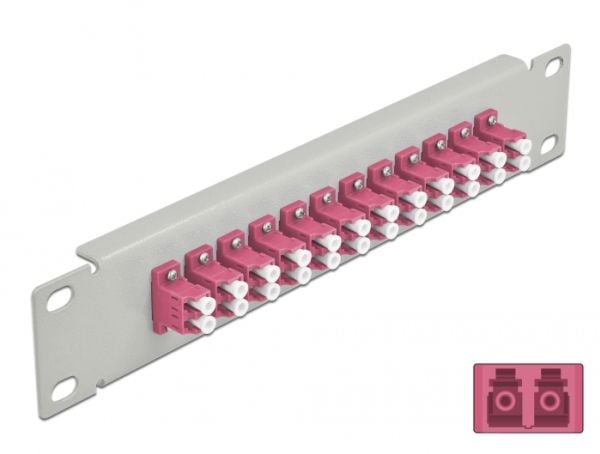 Delock - Patch-panel - LC Duplex MM X 12 - grå - 1U - 10"