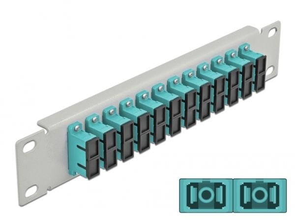 Delock - Patch-panel - SC Duplex MM X 12 - grå - 1U - 10"