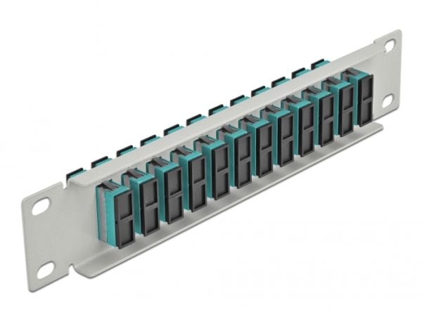 Delock - Patch-panel - SC Duplex MM X 12 - grå - 1U - 10"