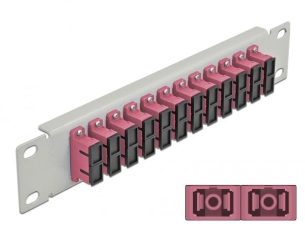 Delock - Patch-panel - SC Duplex MM X 12 - grå - 1U - 10"