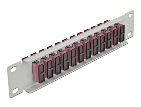 Delock - Patch-panel - SC Duplex MM X 12 - grå - 1U - 10"