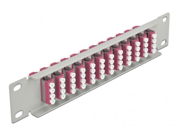 Delock - Patch-panel - rackmontering - LC x 12 - grå - 1U - 10"