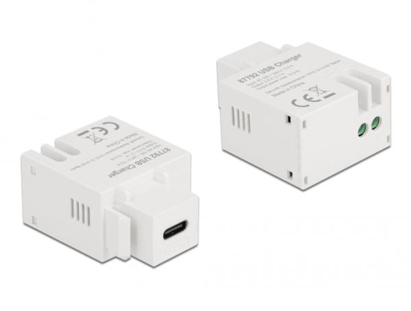 Delock - Strømadapter - 10.5 watt - 2.1 A (USB-C) - hvit