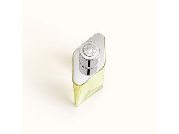 HERMES Hermes H24 Eau de Toilette 100ml