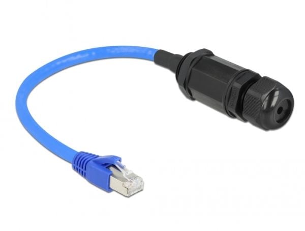 Delock - Nätverkskort - RJ-45 (hane) till RJ-45 (hona) gängad - 25 cm - 11 mm - S/FTP - CAT 6a - blå