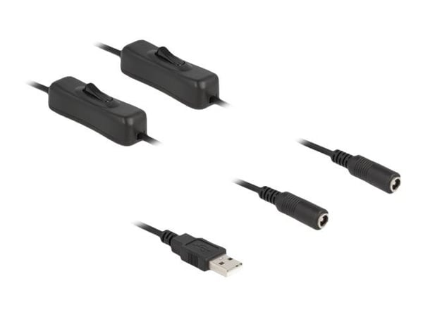 Delock - Strömdelare - USB (hane) till DC-jack 5,5 x 2,1 mm (hona) - 1 m - svart