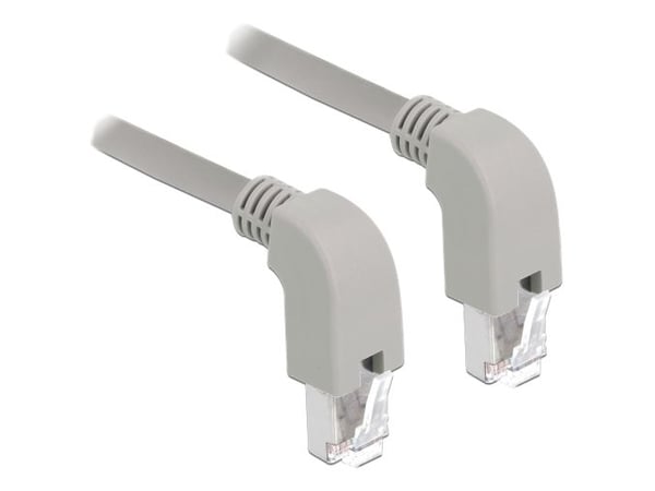 Delock - Patchkabel - RJ-45 (han) nedvinklet til RJ-45 (han) nedvinklet - 2 m - SF/UTP - CAT 5e - halogenfri - grå