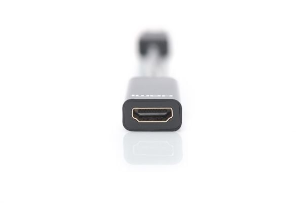 DIGITUS - Video adapter - DisplayPort hann til HDMI hunn - 15 cm - dobbeltisolert - svart