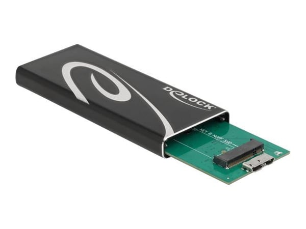 Delock - Lagringspakke - M.2 - 1 kanal - M.2-kort - USB 3.2 (Gen 2) - svart
