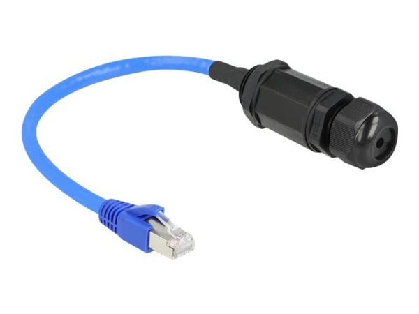 Delock - Nätverkskort - RJ-45 (hane) till RJ-45 (hona) gängad - 25 cm - 11 mm - S/FTP - CAT 6a - blå