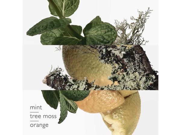 Hermes Eau d''Orange Verte, Män, 50 ml, Engångsflaska, Alkohol, Aqua (Vatten), Parfym (Doft), Limonene, Butyl Methoxydibenzoylmethane, Linalool, Li...
