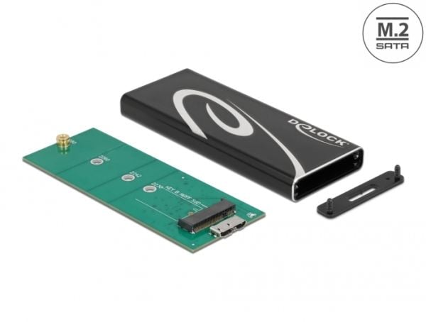 Delock - Lagringspakke - M.2 - 1 kanal - M.2-kort - USB 3.2 (Gen 2) - svart