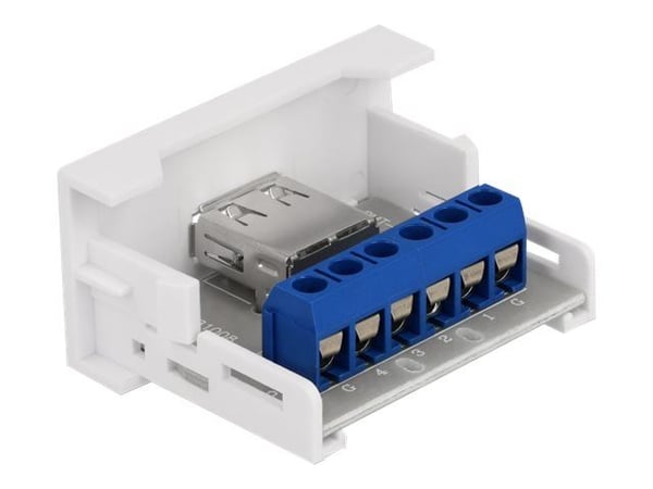 Delock - Easy 45 - click i-modul - USB - 1 modul - vit, RAL 9003