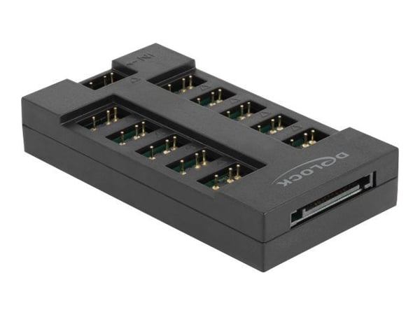 Delock - RGB LED-lyshub - 10 ports - svart