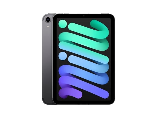 Apple iPad mini Wi-Fi + Cellular - 6. generasjon - tablet - 256 GB - 8.3" IPS (2266 x 1488) - 3G, 4G, 5G - romgrå