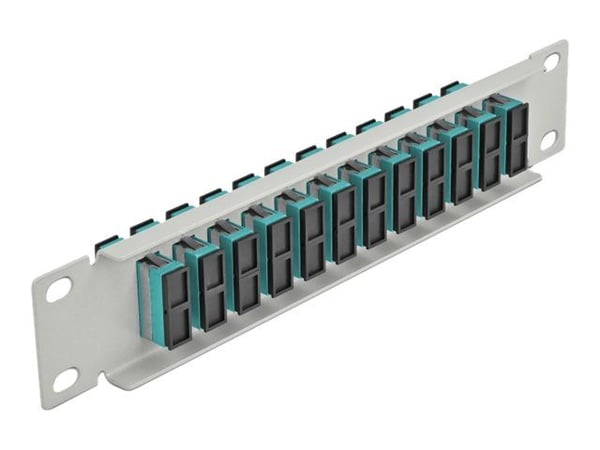 Delock - Patch-panel - SC Duplex MM X 12 - grå - 1U - 10"