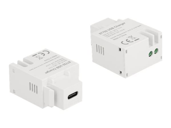 Delock - Strømadapter - 10.5 watt - 2.1 A (USB-C) - hvit