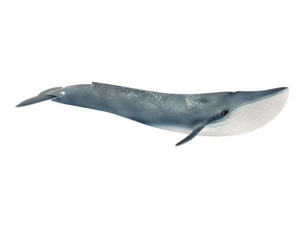 Schleich Wild Life - Blåval